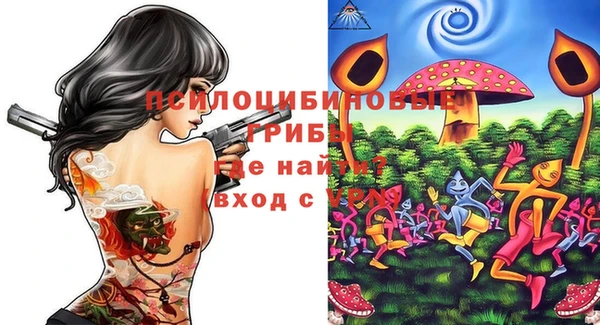 тгк Дмитровск