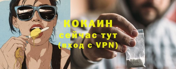 тгк Дмитровск