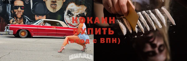 сатива Дмитриев