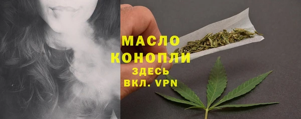 сатива Дмитриев