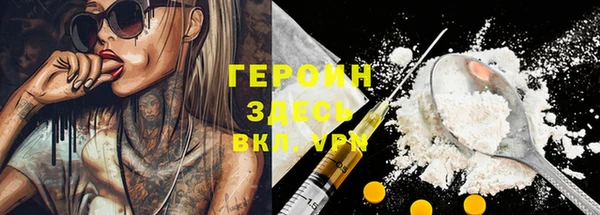 сатива Дмитриев