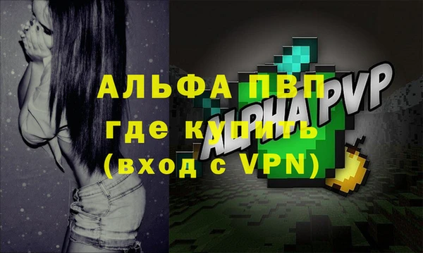 сатива Дмитриев