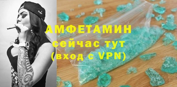 сатива Дмитриев