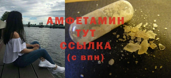 сатива Дмитриев