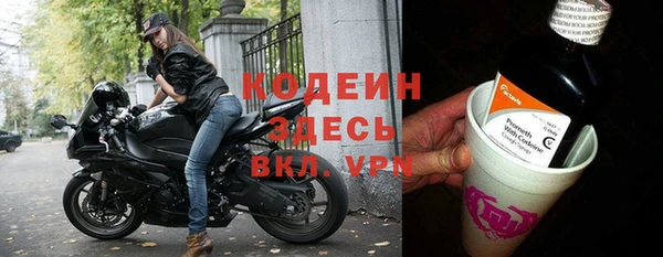 сатива Дмитриев