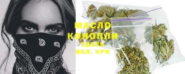 сатива Дмитриев