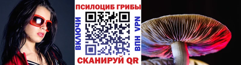 Псилоцибиновые грибы мухоморы  мега сайт  Теберда 